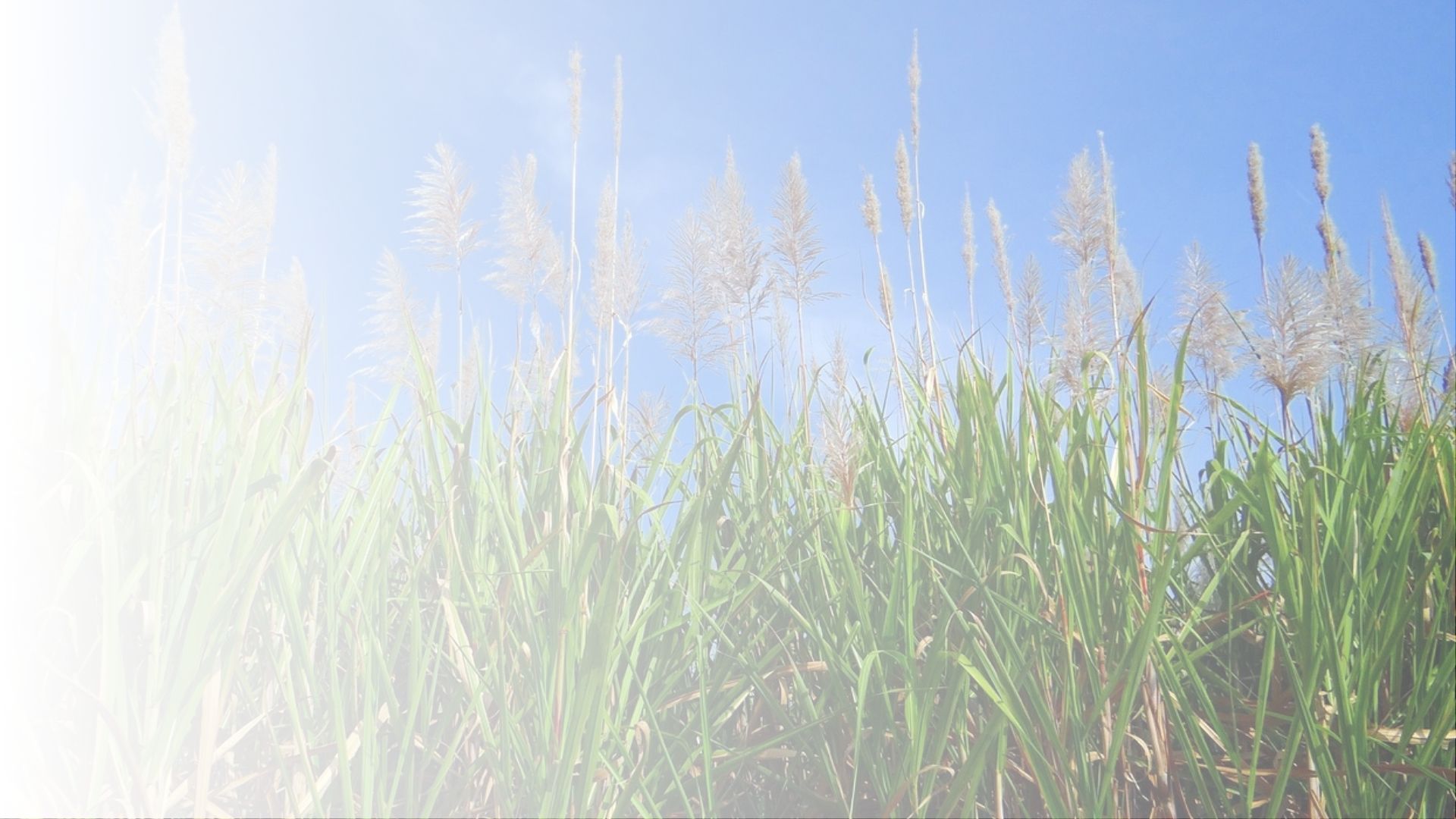 Hero Background